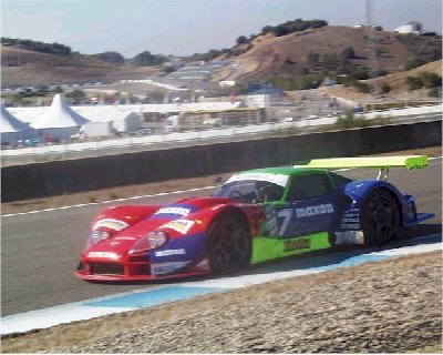 SpainChamps.jpg - 35891 Bytes