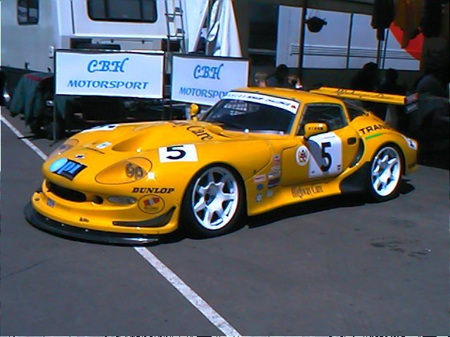 Mantis in BH paddock