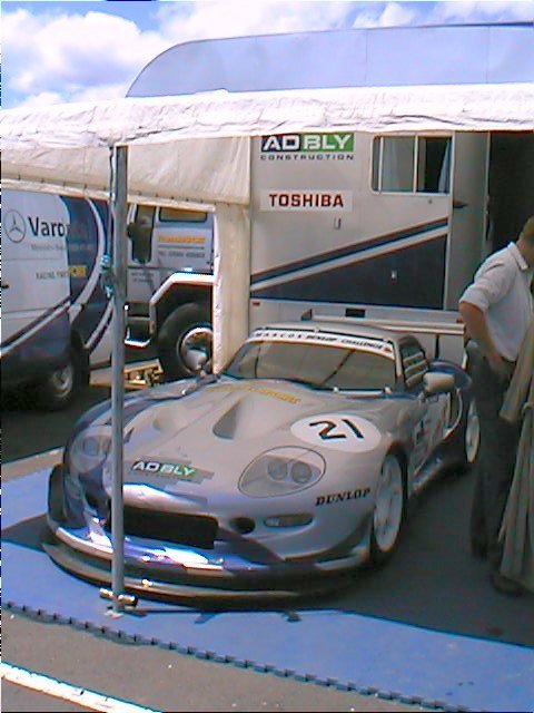 Mantis in BH paddock